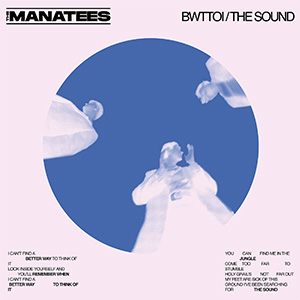 Better Way To Think Of It // The Sound - The Manatees
